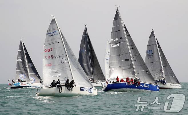 25일 부산 수영만 해상에서 열린 '2025 부산슈퍼컵 국제요트대회'에 참가한 요트들이 물살을 가르며 질주하고 있다.   2025.4.25/뉴스1 ⓒ News1 윤일지 기자