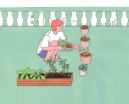 (일러스트 게티이미지뱅크)