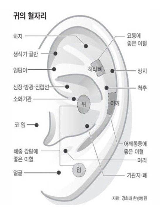 ⓒ경희대 한방병원