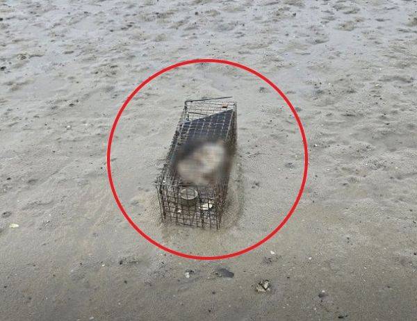 ⓒ카라 인스타그램