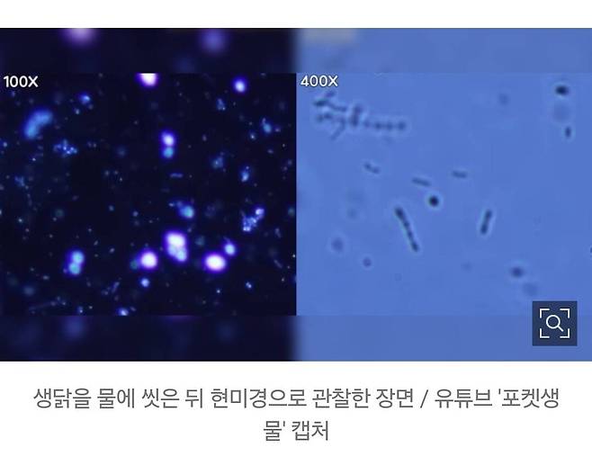 Screenshot_20250425_141205_Samsung Internet.jpg 생닭 씻고 조리? "절대 안 돼요"...현미경으로 들여다보니