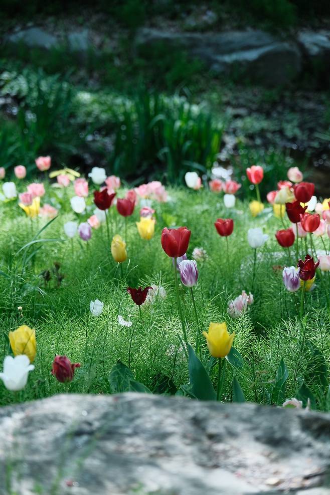 신구대학교 식물원 근황