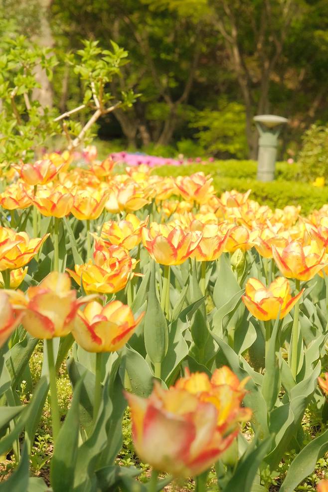 신구대학교 식물원 근황