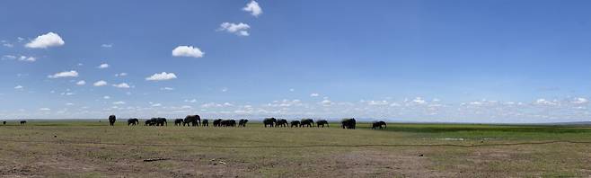 IMG_1899(1).JPG 케냐 암보셀리 국립공원 / 올 투 카이 롯지 앞 풍경