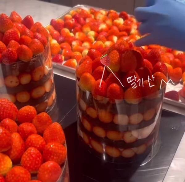 대전의 유명 빵집 성심당의 인기 메뉴인 ‘딸기시루’ 케이크에 곰팡이가 발견됐다./사진=성심당케이크부띠끄 공식 인스타그램 캡처