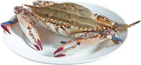 출처: GettyImagesBank