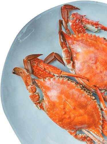 출처: GettyImagesBank