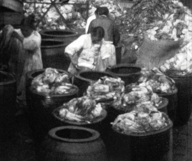 연세대학교 의과대학 동은의학박물관 제공