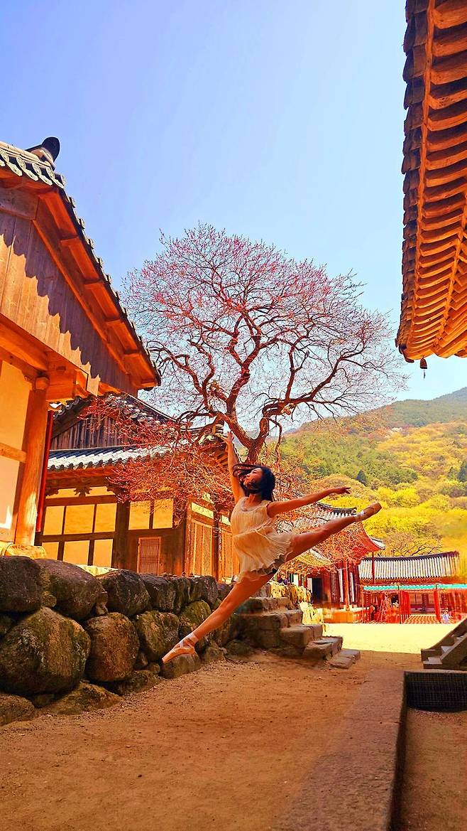 [서울=뉴시스] 대한불교조계종 19교구 지리산대화엄사 교구장 덕문스님은 25일 2025 제5회 화엄사 홍매화·들매화 사진 콘테스트의 응모작 심사 결과 수상작을 발표했다.이번 콘테스트는 '화엄! 홍매화의 향기를 머금고'라는 주제로 진행되었다. 사진 콘테스트 응모작은 총 1178점(전문작가 부문 493점, 휴대폰 카메라 부문 685점)이 접수되었다. 시상식은 오는 5월 5일 오전 10시다. 사진은 휴대폰카메라사진부문 부주지스님상 수상작인 한현주 '불심에 스민 홍매/몸은 흙에 닿고 마음은 하늘에 닿는다'. (사진=화엄사 제공) 2025.04.25. photo@newsis.com *재판매 및 DB 금지