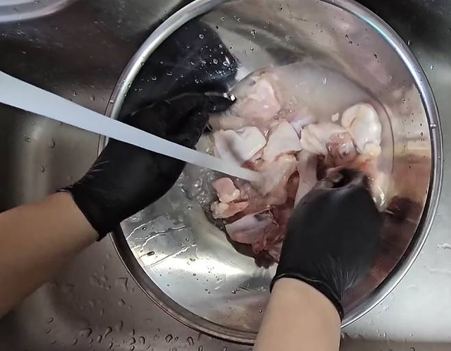 [사진 출처 = 포켓생물 유튜브]