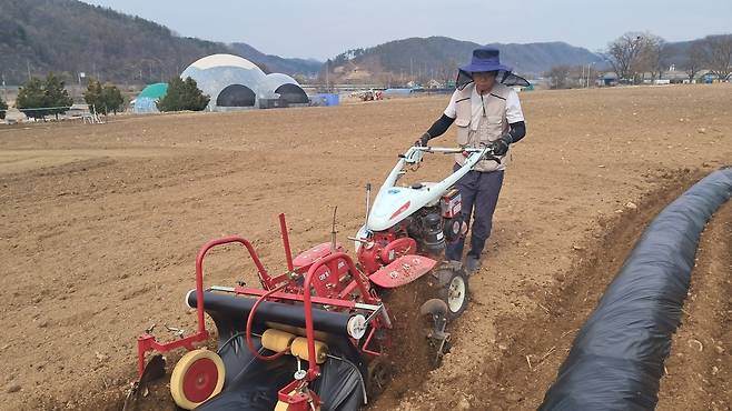 밭두렁 작업 [송계영씨 제공. 재판매 및 DB 금지]