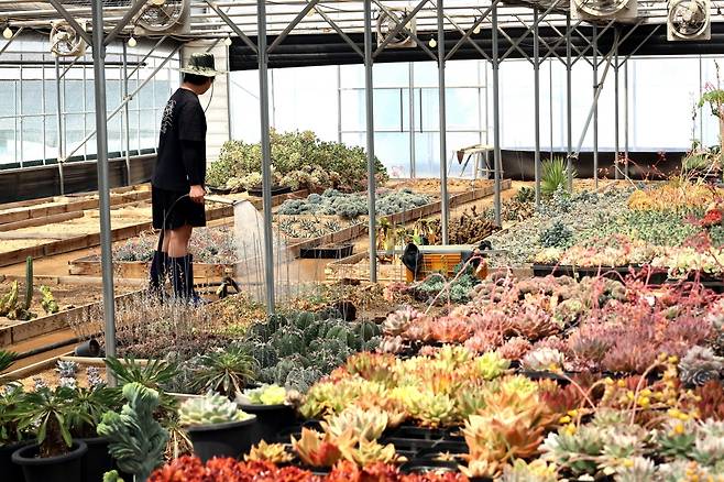 청년농업인 대상 수상한 사계농원 노광명씨 [김형우 촬영]