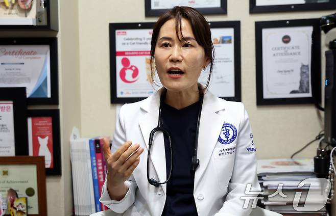 장경미 세계로동물의료센터 원장이 23일 서울 관악구 병원에서 뉴스1과 인터뷰를 하고 있다. ⓒ News1 김명섭 기자