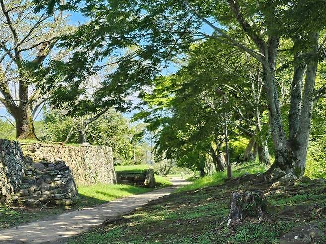 28b9d932da836ff23bec85e04385726f6306dfa8d50a94d8026a6eddf3b77cccd88d0e