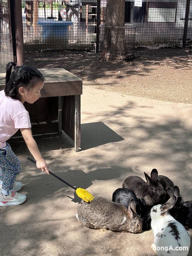 토끼 방사장에서 한 어린이가 먹이를 준 후 토끼 등을 쓰다듬고 있다. 황소영 기자 fangso@donga.com