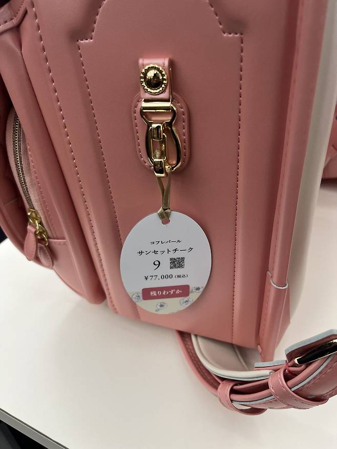 IMG_5884.jpeg 일본 초등학교 가방 가격 근황..