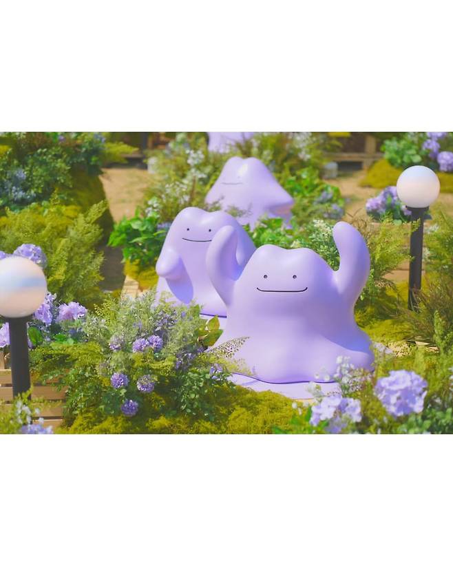 석촌호수 메타몽 근황