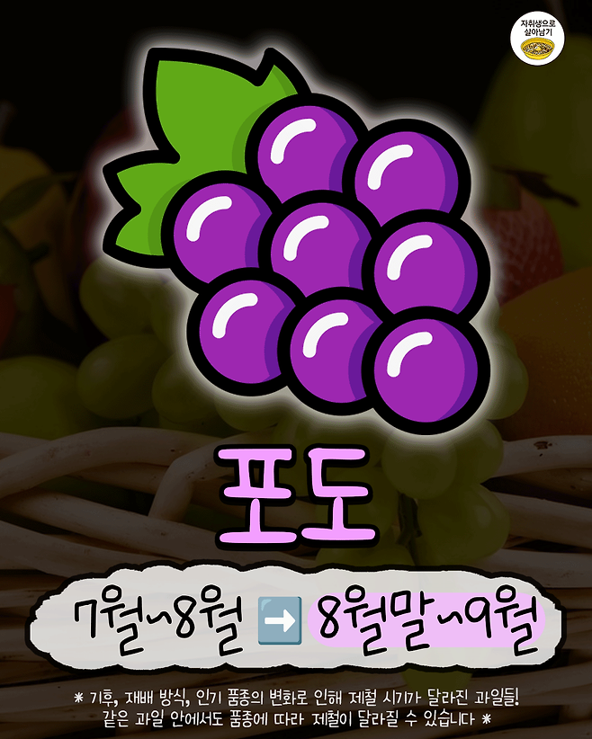 IMG_4508.png 요즘 바뀌었다는 과일 제철시기