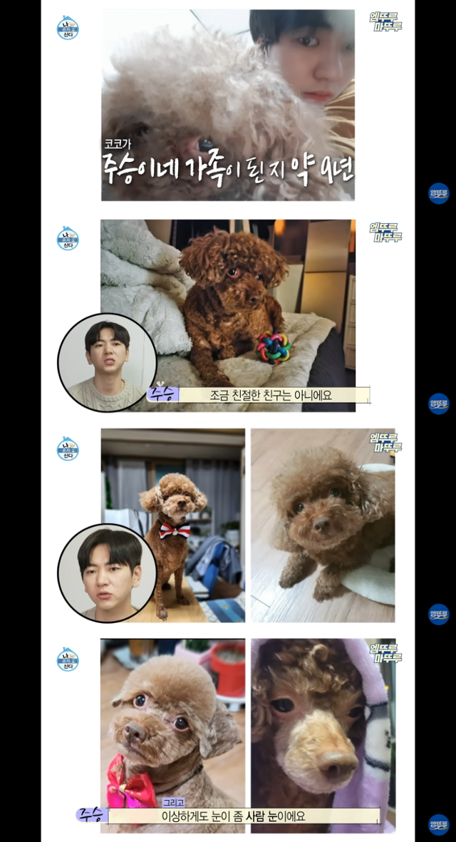 MBC 나 혼자 산다 캡처