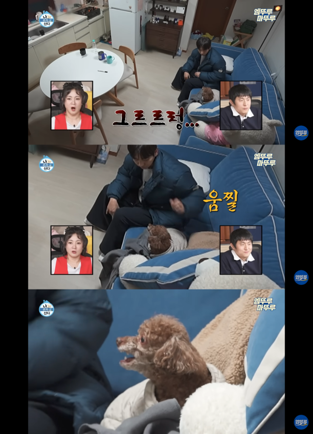 MBC 나 혼자 산다 캡처