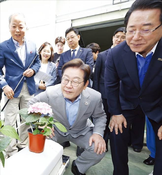 < 에너지 자립형 온실 둘러보는 이재명 > 이재명 더불어민주당 대선 경선 후보가 25일 전남농업기술원에서 농업과학기술진흥 간담회를 한 뒤 에너지 자립형 온실에서 꽃을 살펴보고 있다.  /뉴스1