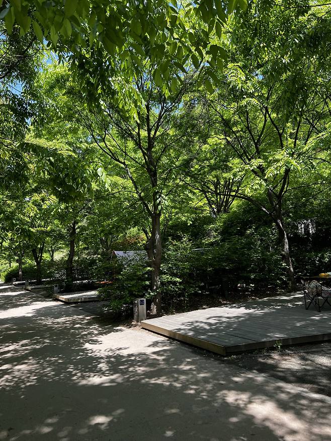 도심 속 캠핑장, 중랑캠핑숲.