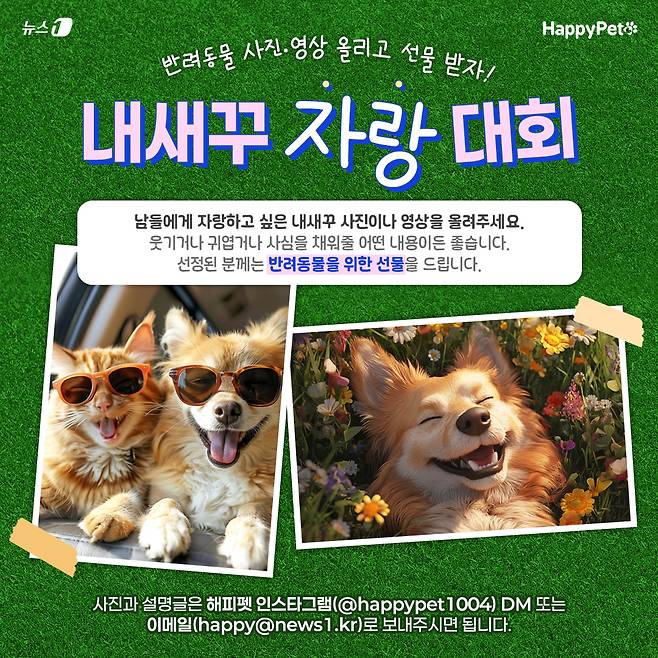 해피펫 '내새꾸 자랑대회'에 참여하시면 반려동물을 위한 선물을 드립니다. ⓒ 뉴스1 이지윤 디자이너
