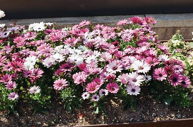 7ee58702c1826082239b8097379c706f7150abab61108f9d62effcac67a5541df80bb80fc47f4296a246e3005aa604b67f6aa3c682