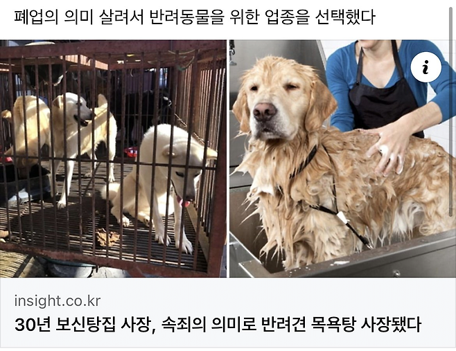 image.png 30년 보신탕집 사장, 속죄의 의미로 반려견 목욕탕 사장됐다.jpg