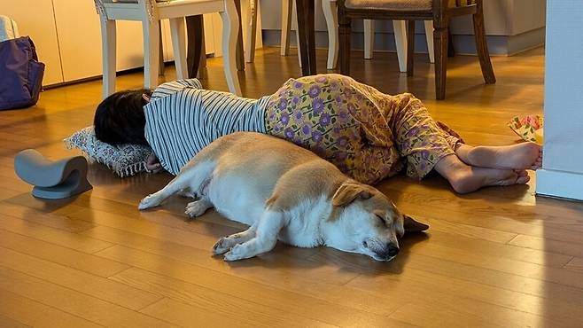 바닥에서 잠든 몽덕이의 모습.