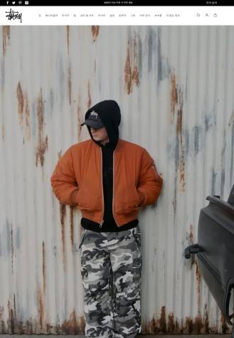 스투시 사칭사이트 /사진=서울시