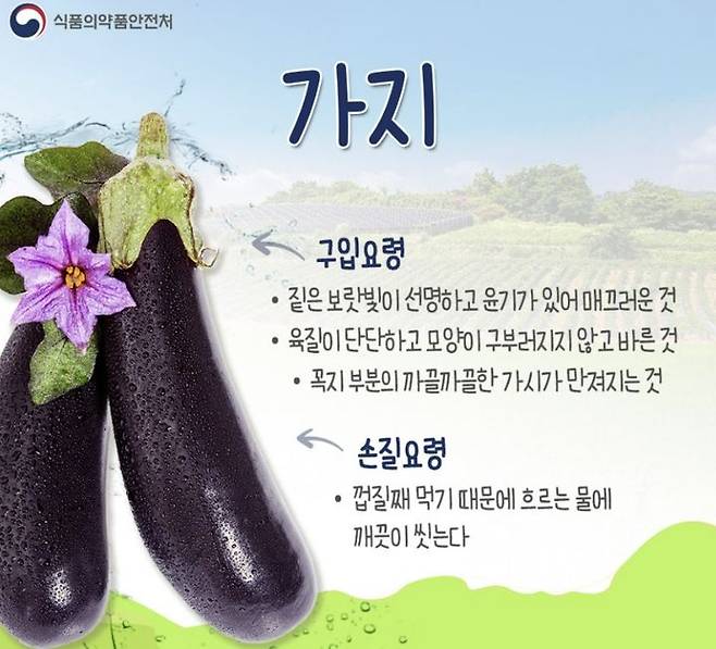 [서울=뉴시스] 27일 식품영양업계에 따르면 가지는 독성 성분인 솔라닌을 포함하고 있어 충분히 익혀서 섭취해야 한다. (사진=식품의약품안전처 제공) 2025.04.25. photo@newsis.com *재판매 및 DB 금지