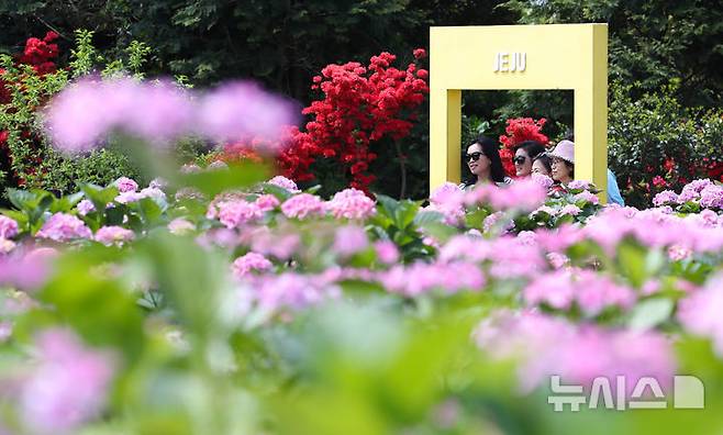 [서귀포=뉴시스] 우장호 기자 = 맑은 날씨를 보인 27일 오전 제주 서귀포시 남원읍 휴애리자연생활공연에 여름의 시작을 알리는 수국이 활짝 피어나 관람객들의 시선을 끌고 있다. 2025.04.27. woo1223@newsis.com