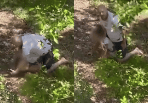 미국 플로리다주 탬파에서 자신의 집 근처를 지나던 11세 소녀를 땅에 눕히고 제압한 43세 남성이 폭행 혐의로 입건, 현장에서 체포됐다. 힐스버러 카운티 보안당국 제공