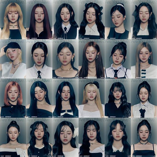 모드하우스 제공