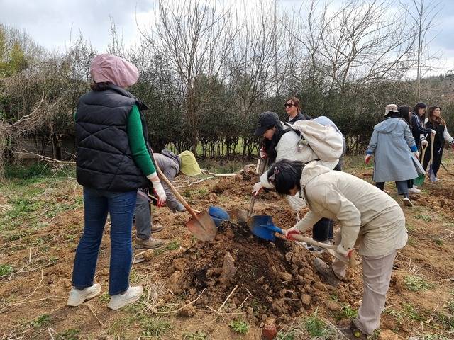 온난화 식목일 모습 /사진=전북환경운동연합 제공