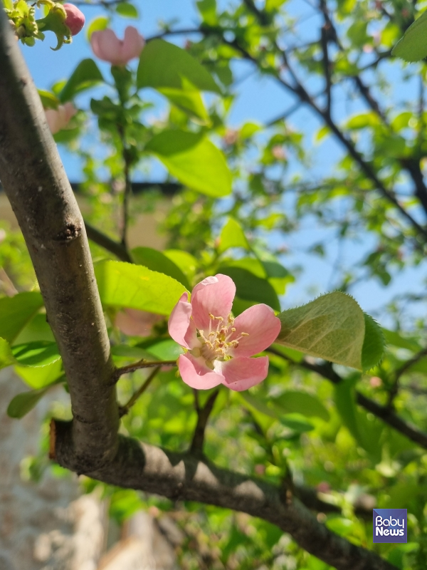 왜 불안하지 않겠는가. 당사자가 제일 불안하겠지. 그 마음 알아주기. 대견하게 여기기.&nbsp;ⓒ최은경