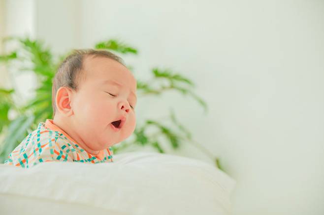 게티이미지뱅크.