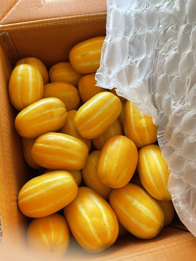 시골은 물물 교환이 활발하네