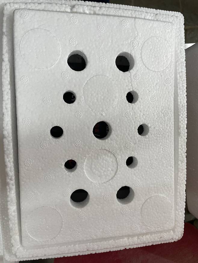 시골은 물물 교환이 활발하네