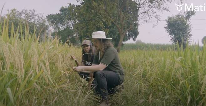 현무암 가루는 토양을 비옥하게 해 작물 수확량을 늘려준다. 마티카본 유튜브 갈무리