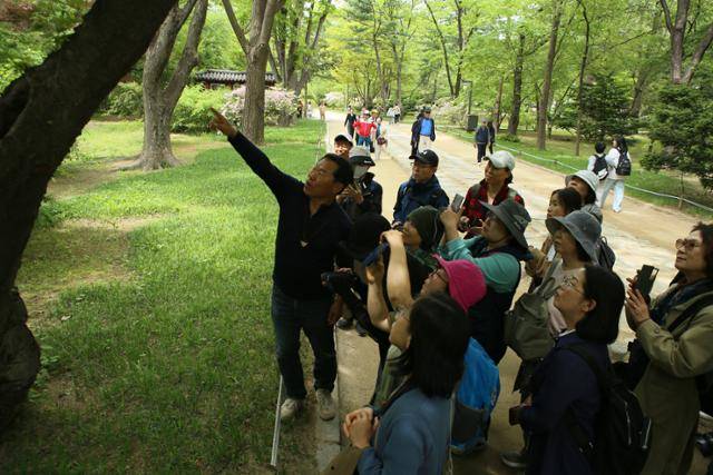 김성호 딱다구리보전회 공동대표가 27일 서울 종로구 종묘 숲에서 시민들에게 딱따구리 둥지를 설명하고 있다. 딱다구리보전회 제공