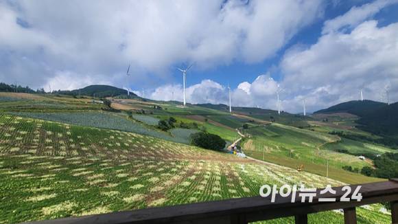 강원도 태백시의 바람의 언덕. 더 넓은 고냉지 배추밭에 풍력 발전기가 들어서 있다. [사진=정종오 기자]