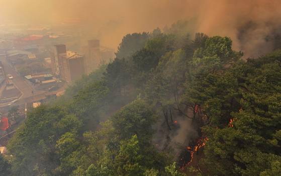 28일 오후 2시 1분께 대구 북구 노곡동 함지산에서 발생한 산불이 인근인 조야동 민가까지 확산하고 있다. 연합뉴스