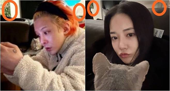 사진=왼쪽부터 지드래곤, 이주연 계정