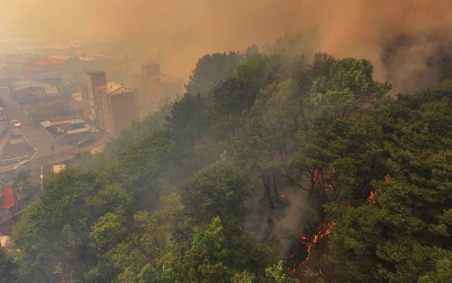 28일 오후 2시1분께 대구 북구 노곡동 함지산에서 발생한 산불이 인근인 조야동 민가까지 확산하고 있다. 연합뉴스
