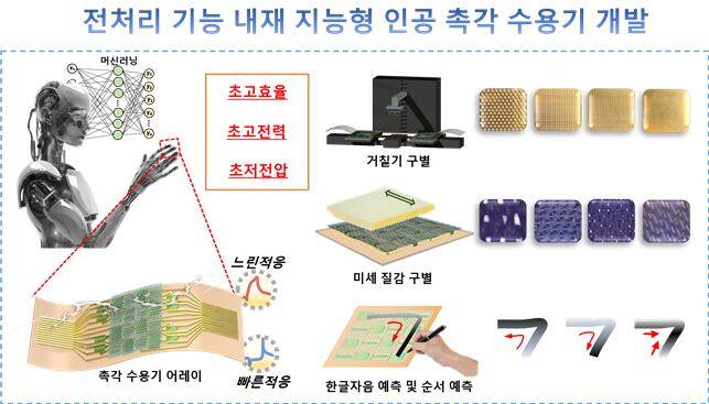 성균관대 연구진이 개발한 인간의 느린 적응와 빠른 적응 촉각 수용체가 동시에 모방된 초고효율, 초고전력, 초저전압 지능형 인공 촉각 수용기./성균관대
