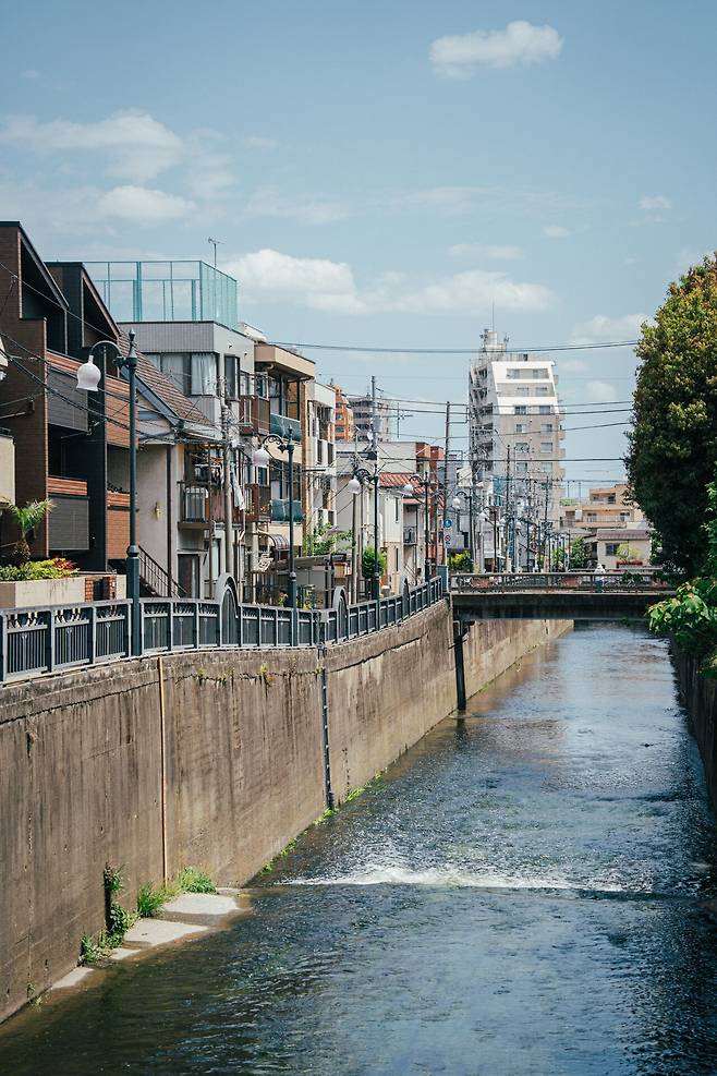 카메라 렌즈 구매기념 동네 산책