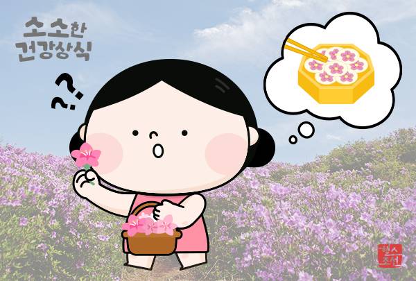 길가에 핀 철쭉을 따서 먹으면 독성물질 노출 위험이 있어 주의해야 한다./그래픽=헬스조선DB