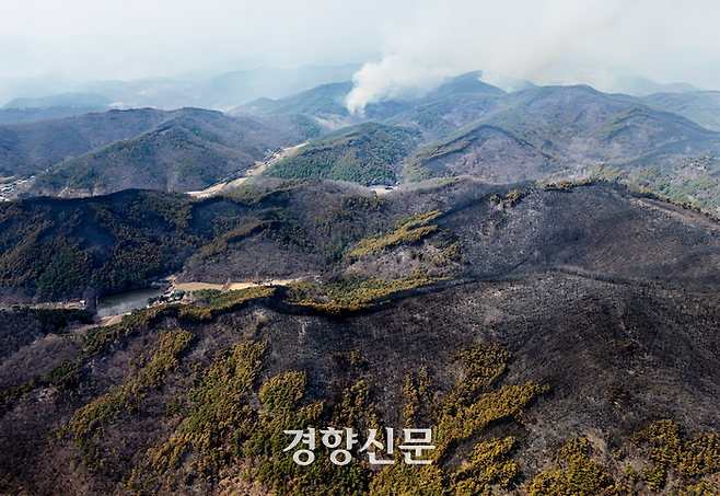 경북 의성군 괴산리에서 지난달 발생한 산불이 할퀴고 간 상처가 발화지점 일대 야산에 검게 퍼져 있다. 문재원 기자